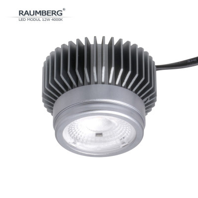 Светодиодный модуль  Raumberg12W4000K
