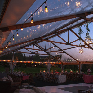 Гирлянда  41826