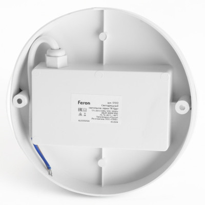 Настенно-потолочный светильник  51512